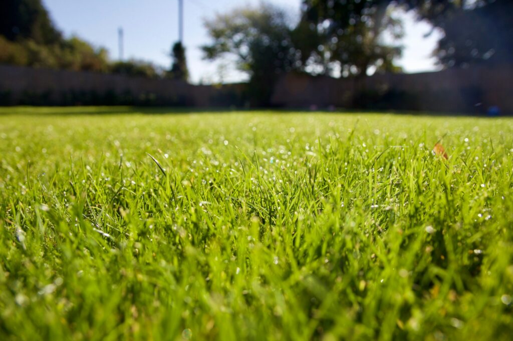 Comprehensive Lawn Care Services