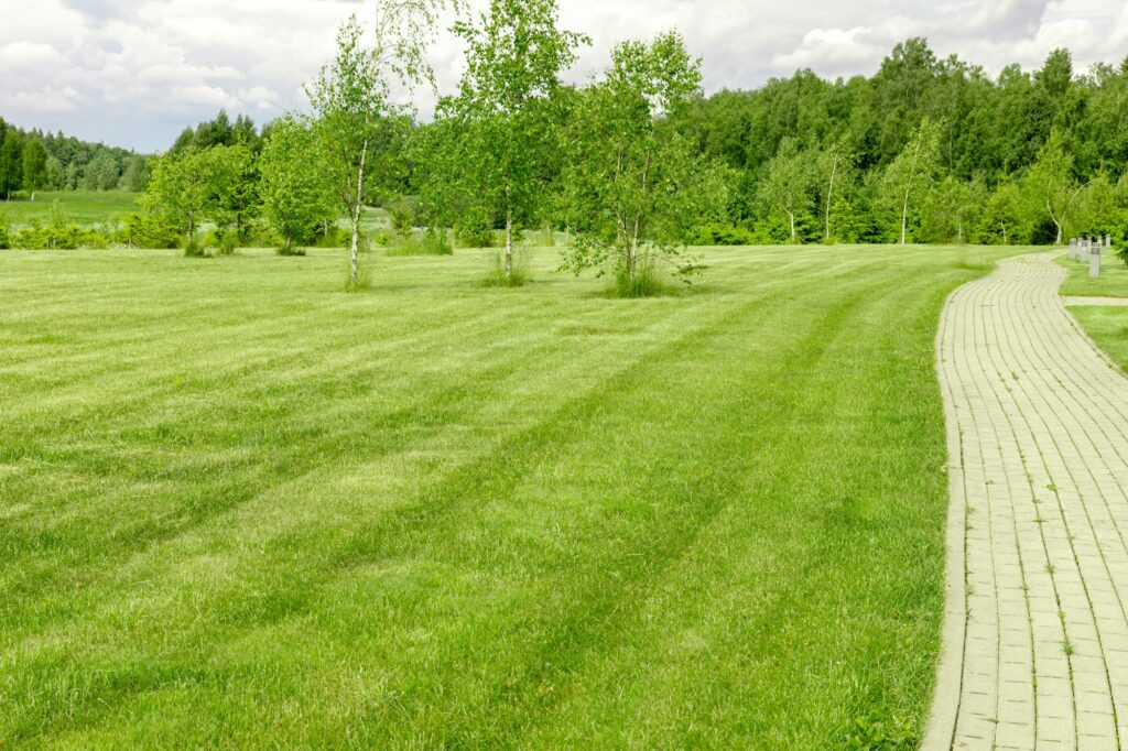 Lawn Care Boulder, Colorado