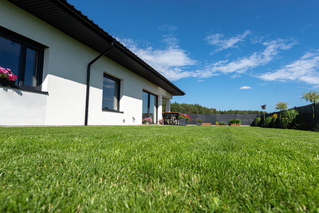 Lawn Care Property Value Denver: How Services Help Increase It Over Time