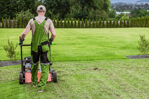 Year Round Lawn Care Denver: How to Take Care of Your Yard With Services
