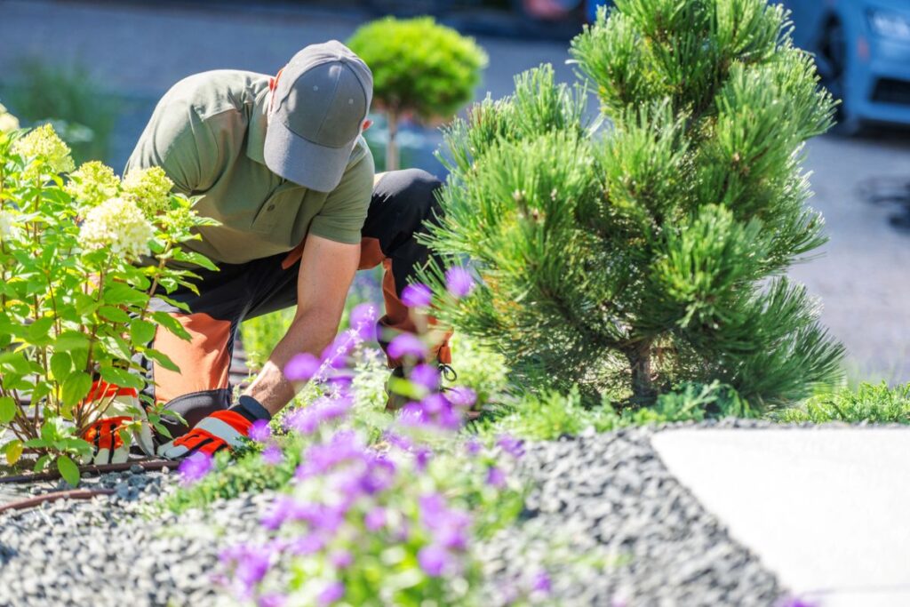 Landscape Maintenance for HOA Properties: Who to Hire in Denver