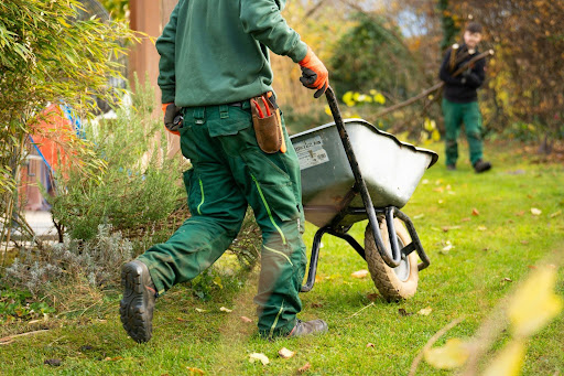 Smart Landscaping Design Strategies for Denver’s Climate