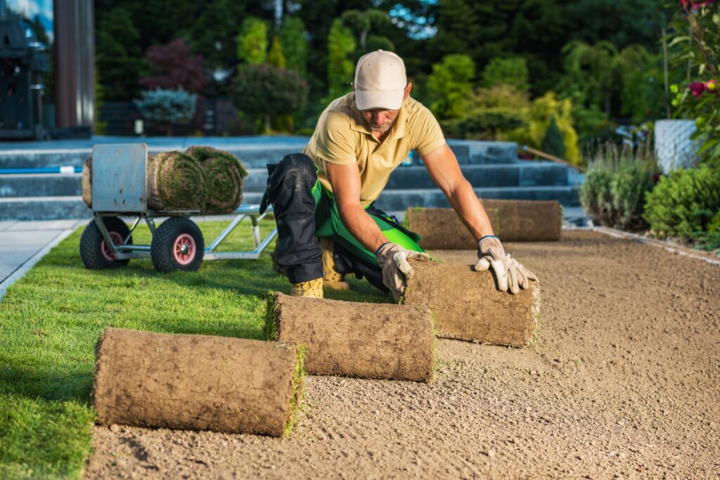 Commercial Property Landscaping Tips for Denver’s Climate