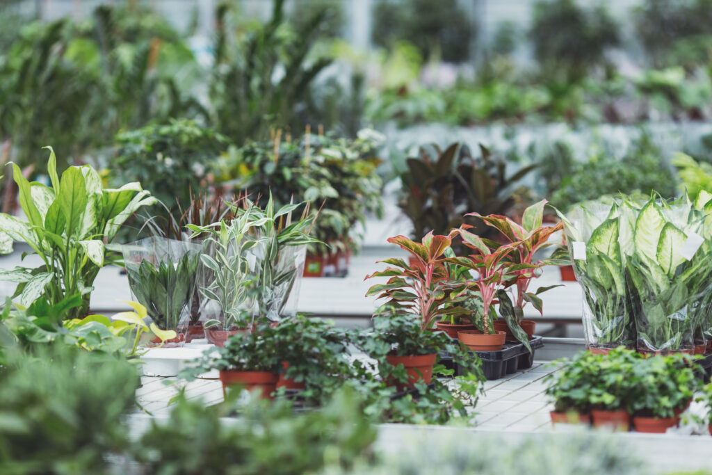 Choosing the Right Plants for a Commercial Landscape
