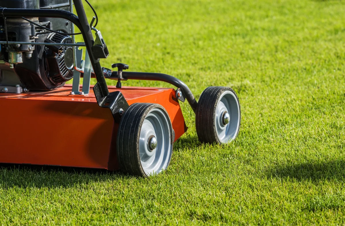 backyard-lawn-aeration-using-gasoline-aerator-mach-2023-11-27-05-00-41-utc