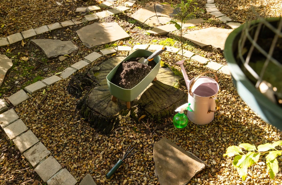 gardening-tools-and-soil-in-wheelbarrow-on-tree-st-2024-08-12-20-11-43-utc