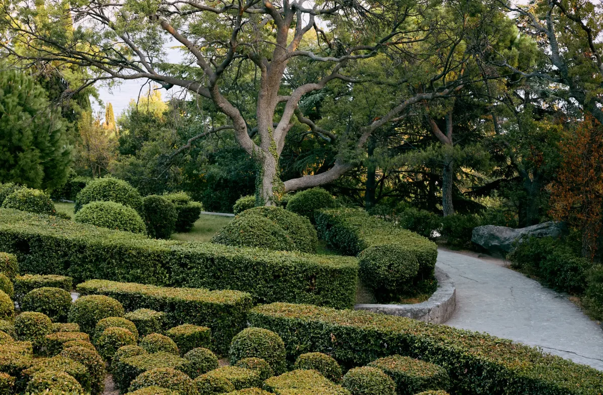 Well trimmed and pruned trees and shrubs