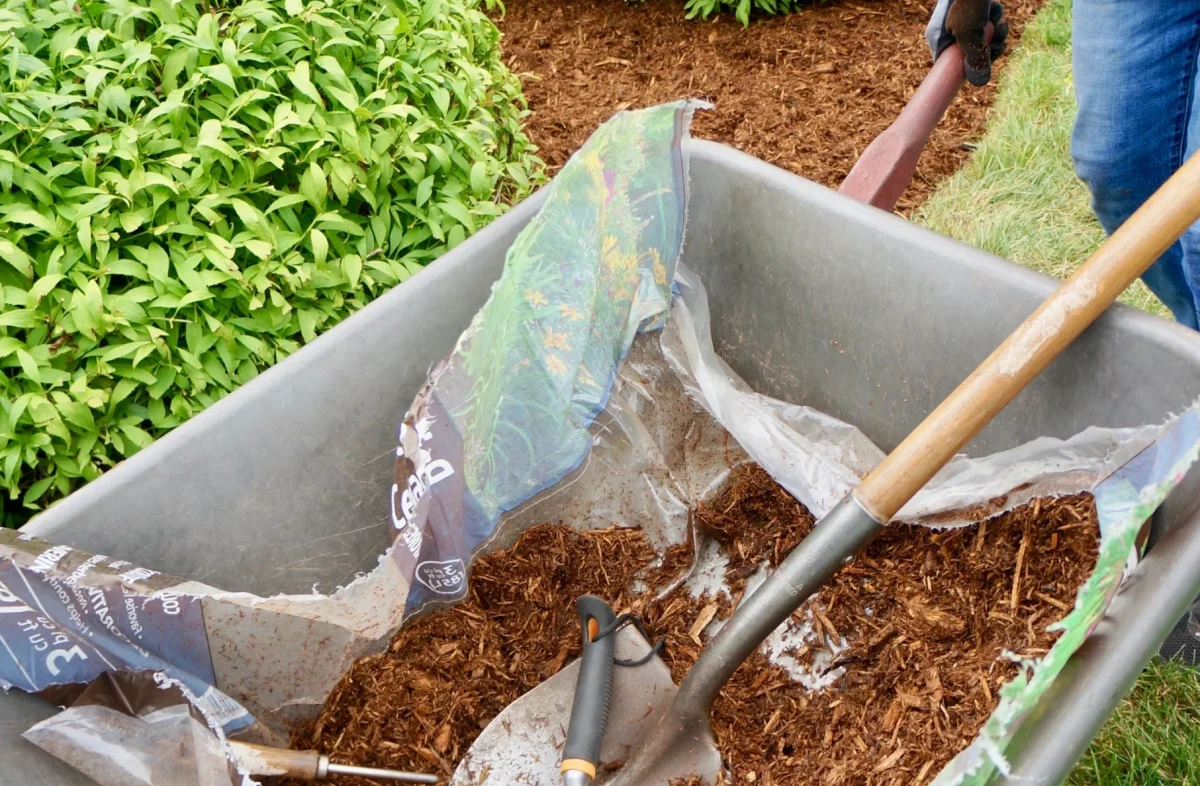 woman-using-a-wheelbarrow-full-of-mulch-as-she-doe-2024-10-14-02-06-19-utc